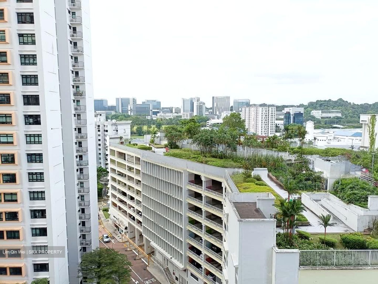 Blk 28B Dover Gardens (Queenstown), HDB 4 Rooms #572052821
